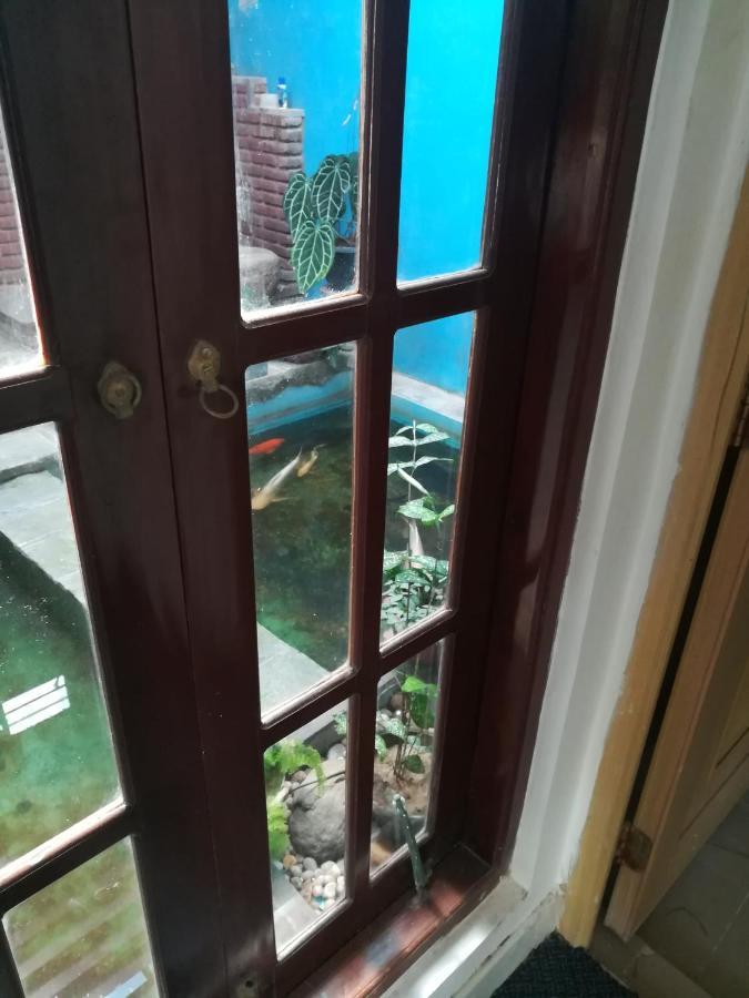 Aurora Echo Villa Matara Exterior foto